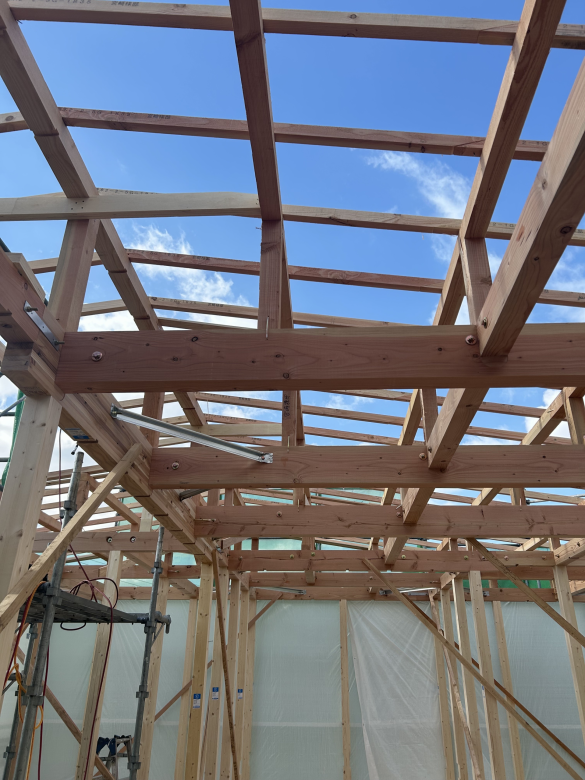 6f853e5d16709fb2db48c66d498e73f5